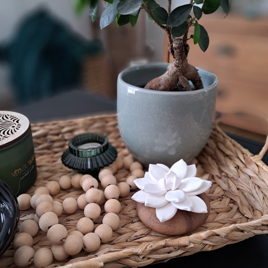 Comment la Décoration Influence votre Bien-Être ?