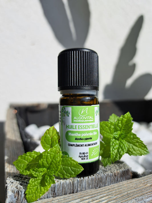 Huile essentielle de menthe poivrée facilite la digestion. Un repas copieux, des flatulences inconfortables, ou une digestion ralentie ? La composition riche en menthol de cette Huile Essentielle lui permet de soutenir de la sphère digestive. Utilisée en cas de rhume, c'est un anti-infectieux, décongestionnant des voies respiratoires supérieures.  Elle favorise l'immunité.
