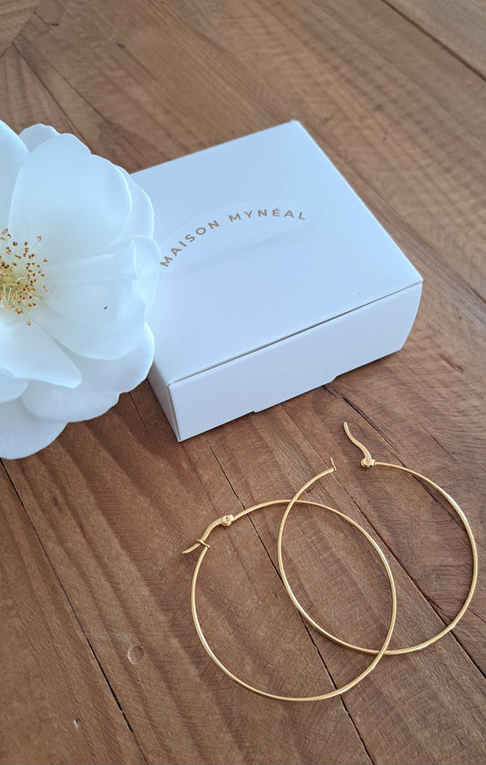 Boucles d'oreilles Créoles